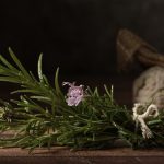 Ce plantă uimitoare ajută memoria și concentrarea